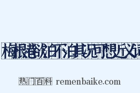 梅根港欲泊不泊其况可想近义词是什么意思的图片